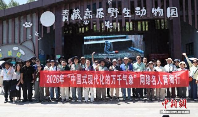 网络名人青海探寻高原野生动物保护